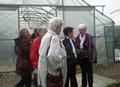 Klik voor vergroting Foto 14